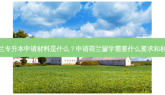 荷兰专升本申请材料是什么?申请荷兰留学需要什么要求和材料-第1张图片-天智网 荷兰专升本申请材料是什么?申请荷兰留学需要什么要求和材料-第1张图片-天智网
