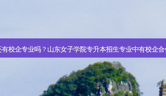 山东专升本还有校企专业吗?山东女子学院专升本招生专业中有校企合作办学专业吗-第1张图片-天智网 山东专升本还有校企专业吗?山东女子学院专升本招生专业中有校企合作办学专业吗-第1张图片-天智网