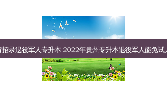 贵州省招录退役军人专升本 2022年贵州专升本退役军人能免试入学吗-第1张图片-汇成专升本网