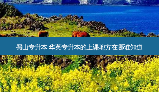 蜀山专升本 华英专升本的上课地方在哪谁知道-第1张图片-天智网 蜀山专升本 华英专升本的上课地方在哪谁知道-第1张图片-天智网