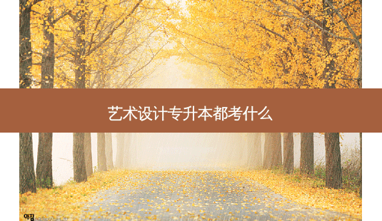 艺术设计专升本都考什么-第1张图片-天智网 艺术设计专升本都考什么-第1张图片-天智网
