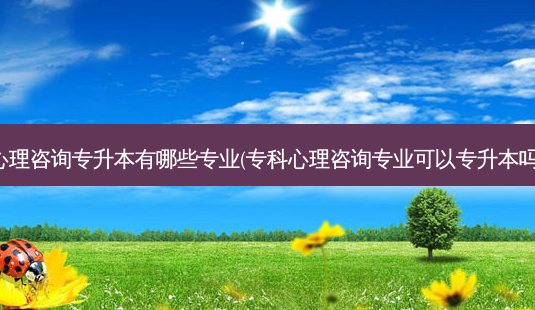 心理咨询专升本有哪些专业(专科心理咨询专业可以专升本吗)-第1张图片-天智网 心理咨询专升本有哪些专业(专科心理咨询专业可以专升本吗)-第1张图片-天智网
