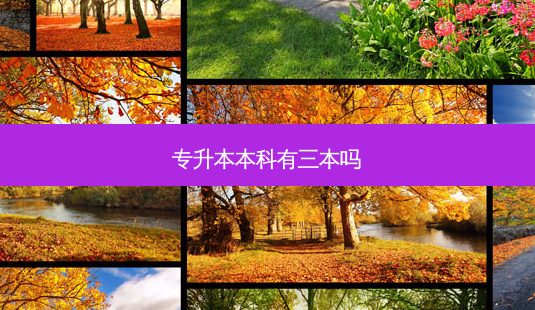 专升本本科有三本吗-第1张图片-天智网 专升本本科有三本吗-第1张图片-天智网
