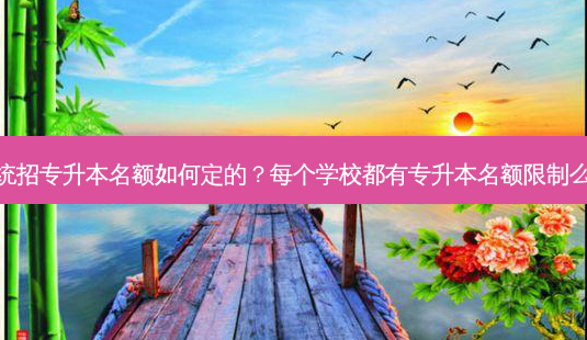 统招专升本名额如何定的?每个学校都有专升本名额限制么-第1张图片-天智网 统招专升本名额如何定的?每个学校都有专升本名额限制么-第1张图片-天智网