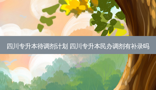 四川专升本待调剂计划 四川专升本民办调剂有补录吗-第1张图片-天智网 四川专升本待调剂计划 四川专升本民办调剂有补录吗-第1张图片-天智网