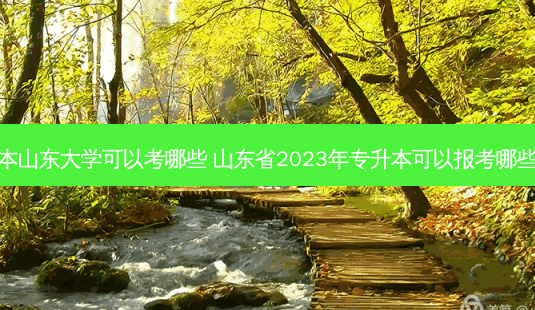 专升本山东大学可以考哪些 山东省2023年专升本可以报考哪些大学-第1张图片-汇成专升本网