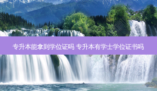 专升本能拿到学位证吗 专升本有学士学位证书吗-第1张图片-天智网 专升本能拿到学位证吗 专升本有学士学位证书吗-第1张图片-天智网