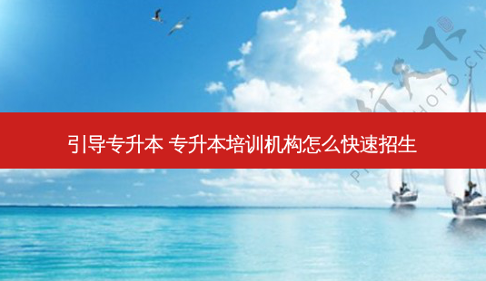 引导专升本 专升本培训机构怎么快速招生-第1张图片-天智网 引导专升本 专升本培训机构怎么快速招生-第1张图片-天智网