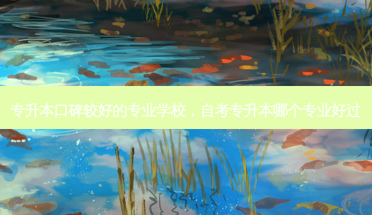 专升本口碑较好的专业学校,自考专升本哪个专业好过-第1张图片-天智网 专升本口碑较好的专业学校,自考专升本哪个专业好过-第1张图片-天智网