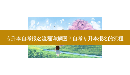 专升本自考报名流程详解图?自考专升本报名的流程-第1张图片-天智网 专升本自考报名流程详解图?自考专升本报名的流程-第1张图片-天智网