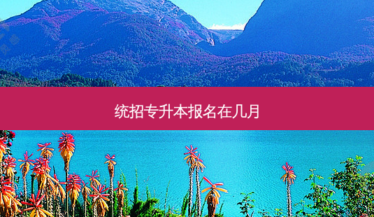 统招专升本报名在几月-第1张图片-天智网 统招专升本报名在几月-第1张图片-天智网