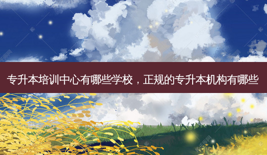 专升本培训中心有哪些学校,正规的专升本机构有哪些-第1张图片-天智网 专升本培训中心有哪些学校,正规的专升本机构有哪些-第1张图片-天智网