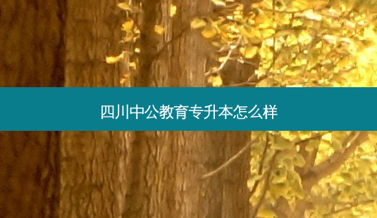 四川中公教育专升本怎么样-第1张图片-天智网 四川中公教育专升本怎么样-第1张图片-天智网