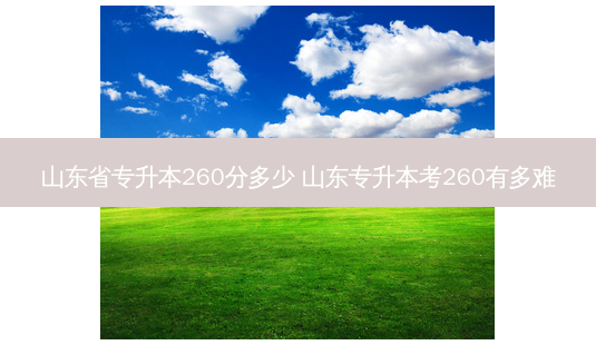 山东省专升本260分多少 山东专升本考260有多难-第1张图片-汇成专升本网