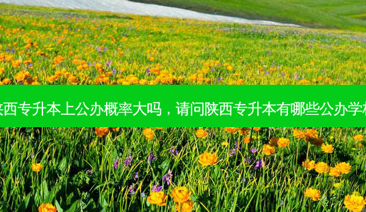 陕西专升本上公办概率大吗,请问陕西专升本有哪些公办学校-第1张图片-天智网 陕西专升本上公办概率大吗,请问陕西专升本有哪些公办学校-第1张图片-天智网