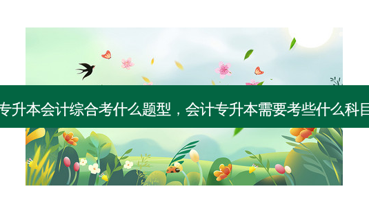 专升本会计综合考什么题型,会计专升本需要考些什么科目-第1张图片-天智网 专升本会计综合考什么题型,会计专升本需要考些什么科目-第1张图片-天智网