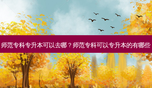 师范专科专升本可以去哪?师范专科可以专升本的有哪些-第1张图片-天智网 师范专科专升本可以去哪?师范专科可以专升本的有哪些-第1张图片-天智网