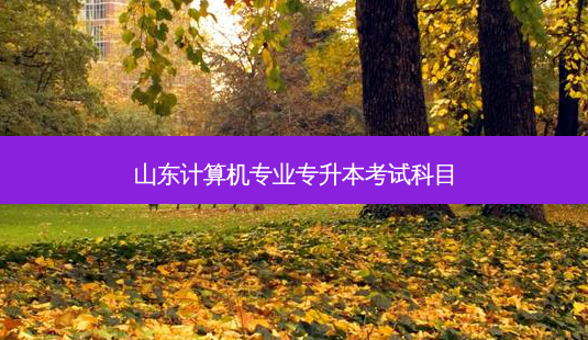 山东计算机专业专升本考试科目-第1张图片-天智网 山东计算机专业专升本考试科目-第1张图片-天智网