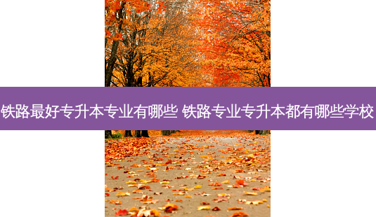 铁路 *** 好专升本专业有哪些 铁路专业专升本都有哪些学校-第1张图片-天智网 铁路 *** 好专升本专业有哪些 铁路专业专升本都有哪些学校-第1张图片-天智网