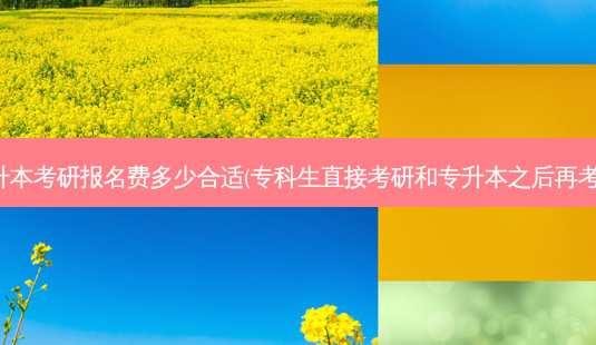 专升本考研报名费多少合适(专科生直接考研和专升本之后再考研)-第1张图片-天智网 专升本考研报名费多少合适(专科生直接考研和专升本之后再考研)-第1张图片-天智网