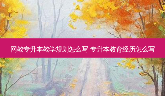 网教专升本教学规划怎么写 专升本教育经历怎么写-第1张图片-天智网 网教专升本教学规划怎么写 专升本教育经历怎么写-第1张图片-天智网