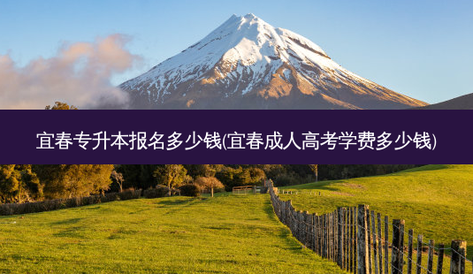 宜春专升本报名多少钱(宜春成人高考学费多少钱)-第1张图片-天智网 宜春专升本报名多少钱(宜春成人高考学费多少钱)-第1张图片-天智网