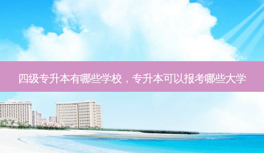 四级专升本有哪些学校,专升本可以报考哪些大学-第1张图片-天智网 四级专升本有哪些学校,专升本可以报考哪些大学-第1张图片-天智网