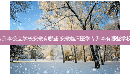 专升本公立学校安徽有哪些(安徽临床医学专升本有哪些学校)-第1张图片-天智网 专升本公立学校安徽有哪些(安徽临床医学专升本有哪些学校)-第1张图片-天智网