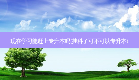 现在学习能赶上专升本吗(挂科了可不可以专升本)-第1张图片-汇成专升本网