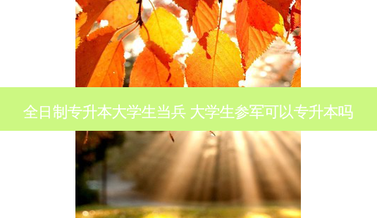 全日制专升本大学生当兵 大学生参军可以专升本吗-第1张图片-天智网 全日制专升本大学生当兵 大学生参军可以专升本吗-第1张图片-天智网