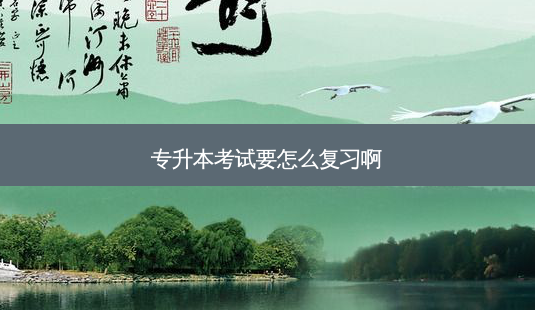 专升本考试要怎么复习啊-第1张图片-天智网 专升本考试要怎么复习啊-第1张图片-天智网