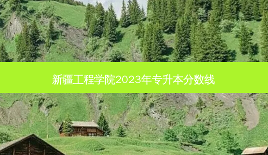 新疆工程学院2023年专升本分数线-第1张图片-汇成专升本网