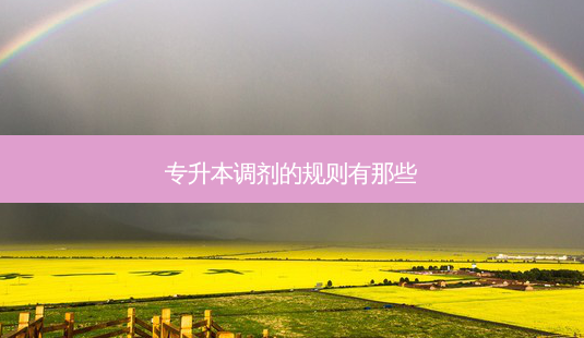 专升本调剂的规则有那些-第1张图片-天智网 专升本调剂的规则有那些-第1张图片-天智网
