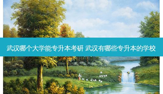 武汉哪个大学能专升本考研 武汉有哪些专升本的学校-第1张图片-天智网 武汉哪个大学能专升本考研 武汉有哪些专升本的学校-第1张图片-天智网
