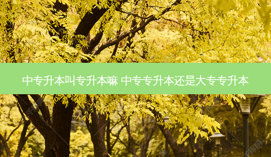 中专升本叫专升本嘛 中专专升本还是大专专升本-第1张图片-天智网 中专升本叫专升本嘛 中专专升本还是大专专升本-第1张图片-天智网