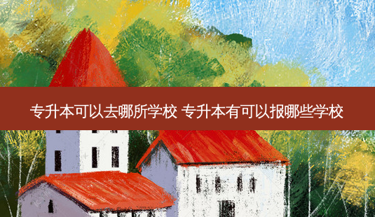 专升本可以去哪所学校 专升本有可以报哪些学校-第1张图片-天智网 专升本可以去哪所学校 专升本有可以报哪些学校-第1张图片-天智网