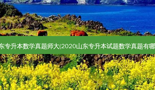 山东专升本数学真题师大(2020山东专升本试题数学真题有哪些)-第1张图片-天智网 山东专升本数学真题师大(2020山东专升本试题数学真题有哪些)-第1张图片-天智网
