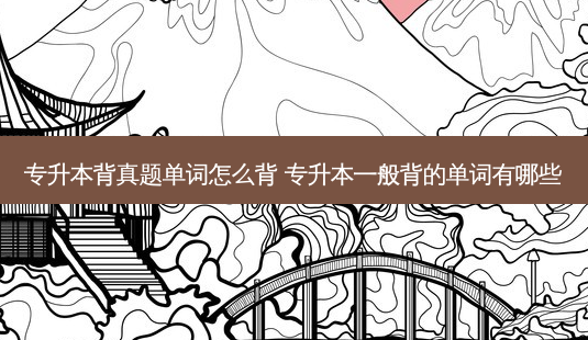 专升本背真题单词怎么背 专升本一般背的单词有哪些-第1张图片-天智网 专升本背真题单词怎么背 专升本一般背的单词有哪些-第1张图片-天智网