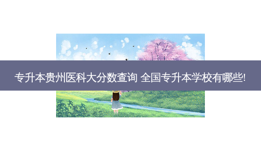 专升本贵州医科大分数查询 全国专升本学校有哪些!-第1张图片-天智网 专升本贵州医科大分数查询 全国专升本学校有哪些!-第1张图片-天智网