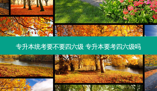 专升本统考要不要四六级 专升本要考四六级吗-第1张图片-天智网 专升本统考要不要四六级 专升本要考四六级吗-第1张图片-天智网