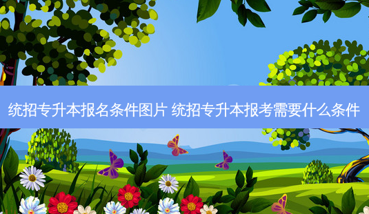 统招专升本报名条件图片 统招专升本报考需要什么条件-第1张图片-天智网 统招专升本报名条件图片 统招专升本报考需要什么条件-第1张图片-天智网