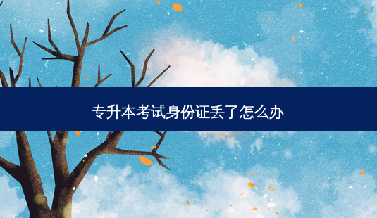 专升本考试身份证丢了怎么办-第1张图片-天智网 专升本考试身份证丢了怎么办-第1张图片-天智网
