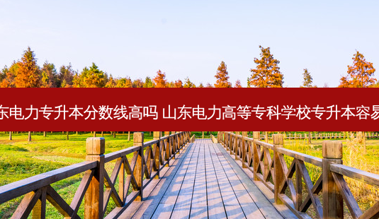 山东电力专升本分数线高吗 山东电力高等专科学校专升本容易吗-第1张图片-天智网 山东电力专升本分数线高吗 山东电力高等专科学校专升本容易吗-第1张图片-天智网