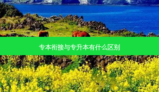 专本衔接与专升本有什么区别-第1张图片-天智网 专本衔接与专升本有什么区别-第1张图片-天智网