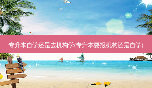 专升本自学还是去机构学(专升本要报机构还是自学)-第1张图片-天智网 专升本自学还是去机构学(专升本要报机构还是自学)-第1张图片-天智网