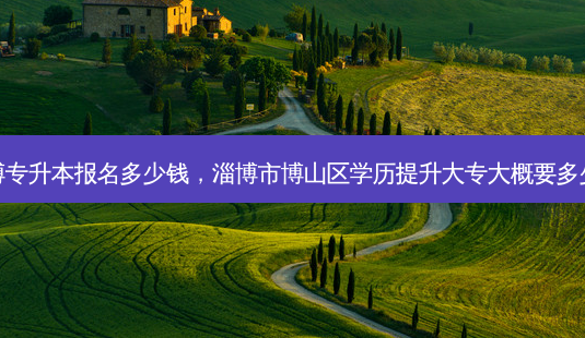 淄博专升本报名多少钱,淄博市博山区学历提升大专大概要多少钱-第1张图片-天智网 淄博专升本报名多少钱,淄博市博山区学历提升大专大概要多少钱-第1张图片-天智网