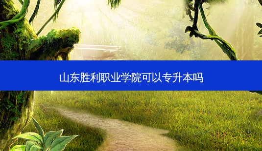 山东胜利职业学院可以专升本吗-第1张图片-天智网 山东胜利职业学院可以专升本吗-第1张图片-天智网