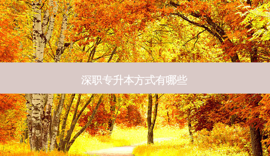 深职专升本方式有哪些-第1张图片-天智网 深职专升本方式有哪些-第1张图片-天智网