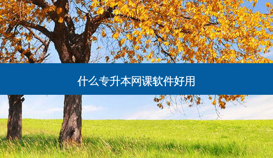什么专升本网课软件好用-第1张图片-天智网 什么专升本网课软件好用-第1张图片-天智网