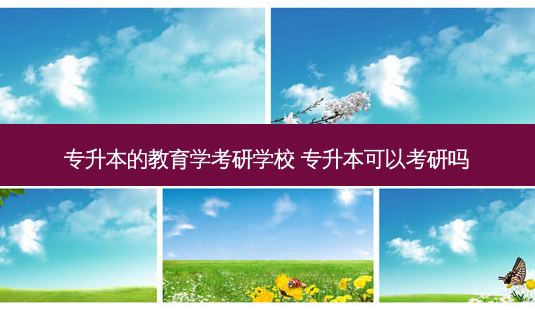 专升本的教育学考研学校 专升本可以考研吗-第1张图片-天智网 专升本的教育学考研学校 专升本可以考研吗-第1张图片-天智网